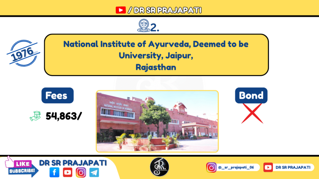 Nia Jaipur